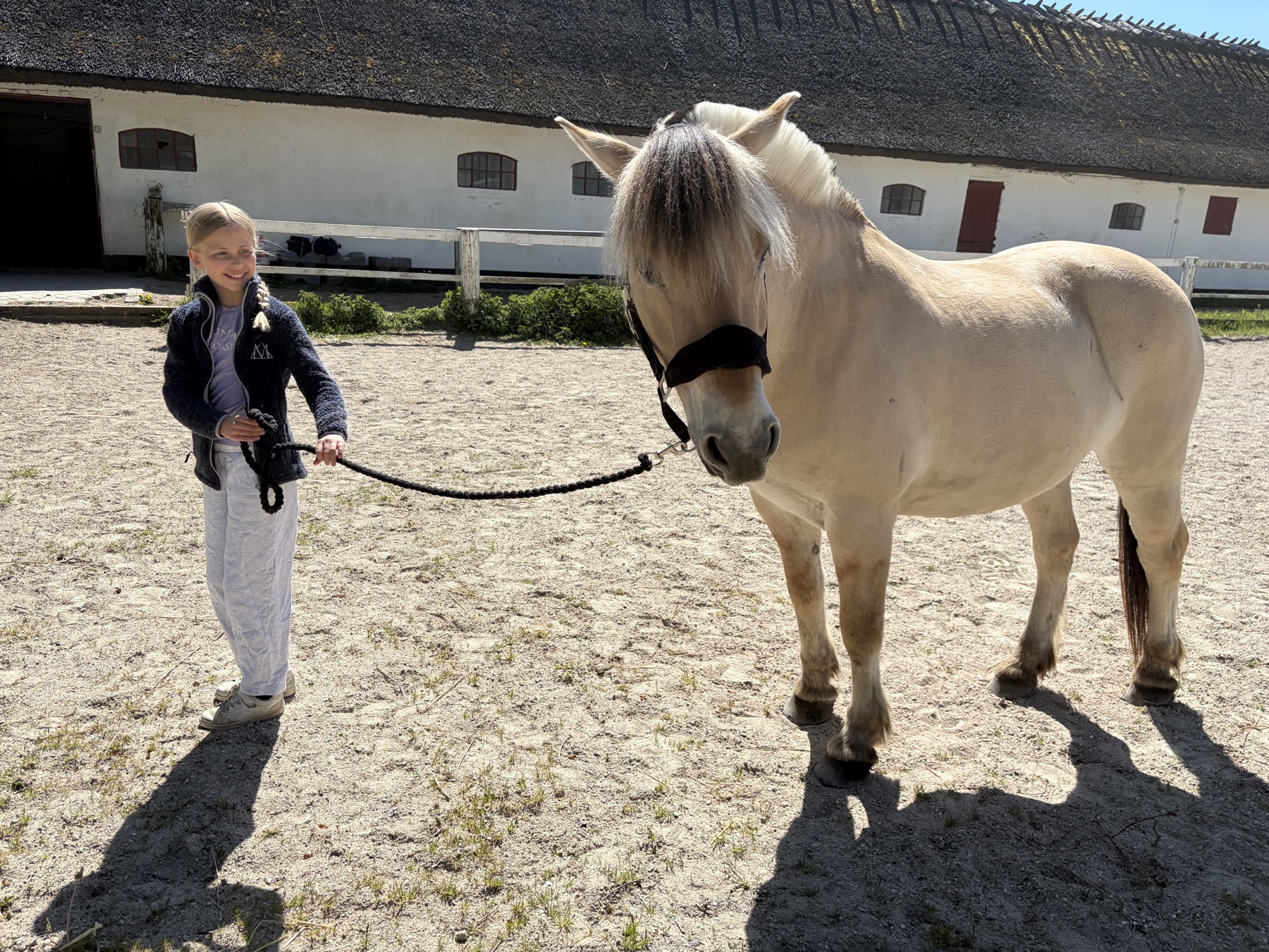 Saga står med sin nye hest Balou