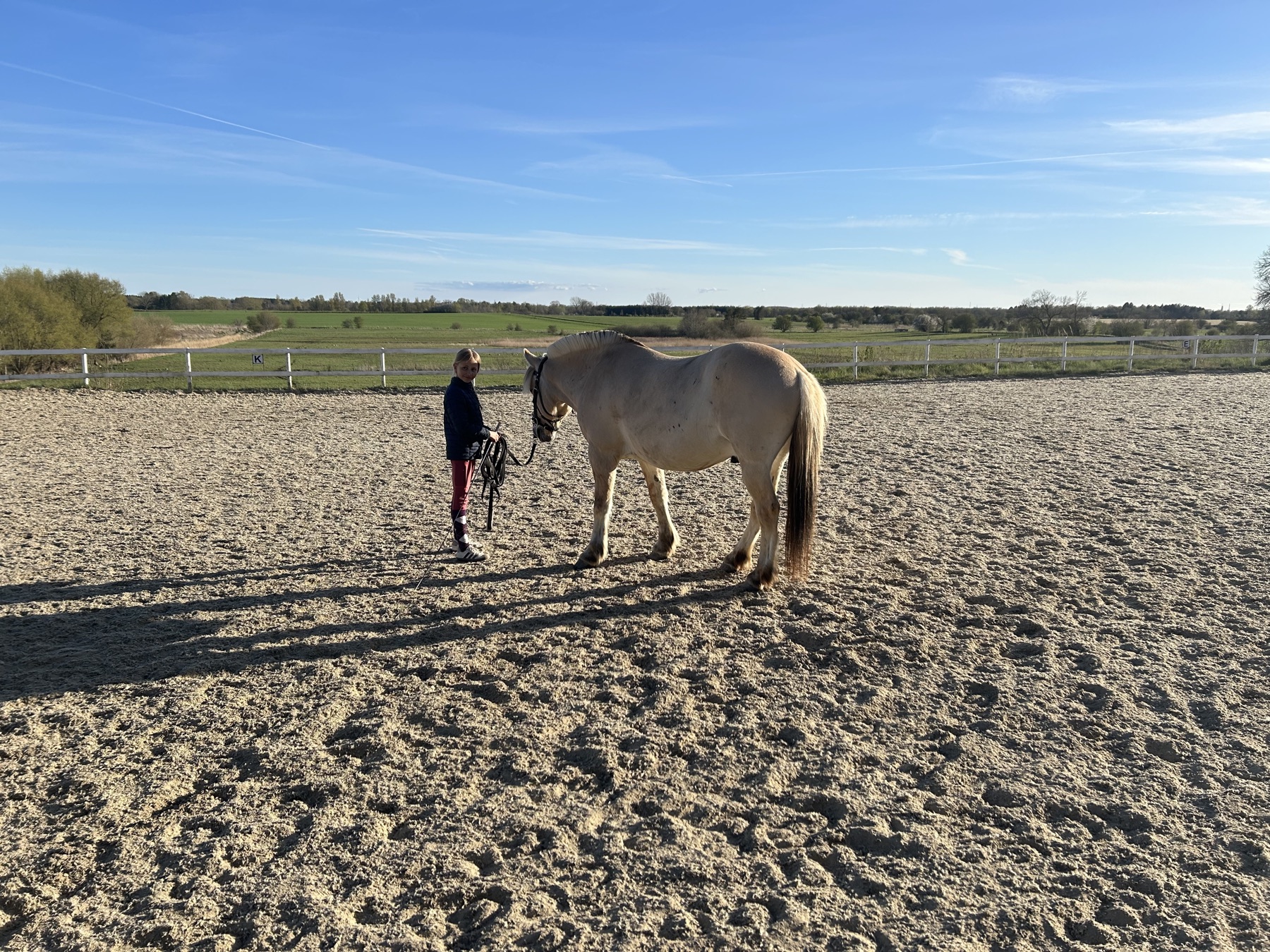 Saga og Balou på ridebanen